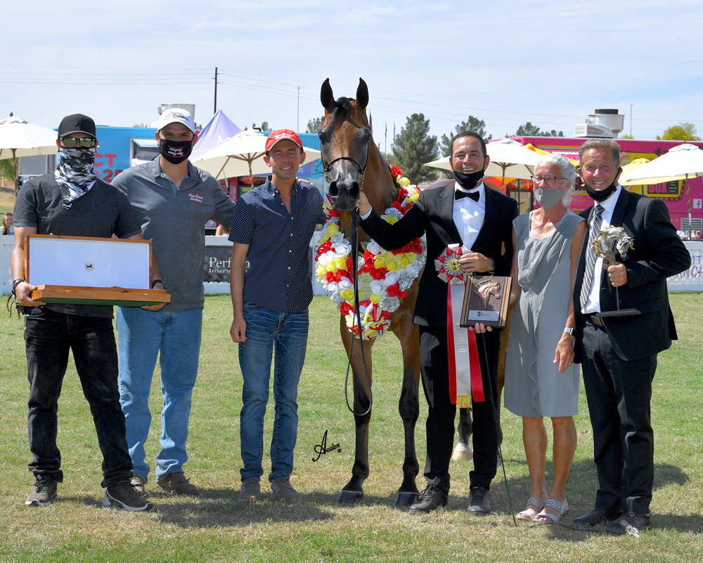 The 2021 Arabian Breeders World Cup - Scottsdale 