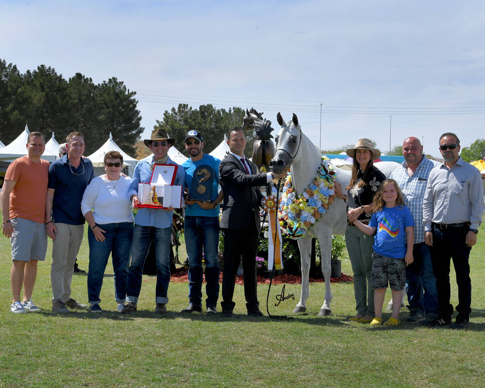 The 2021 Arabian Breeders World Cup - Scottsdale 
