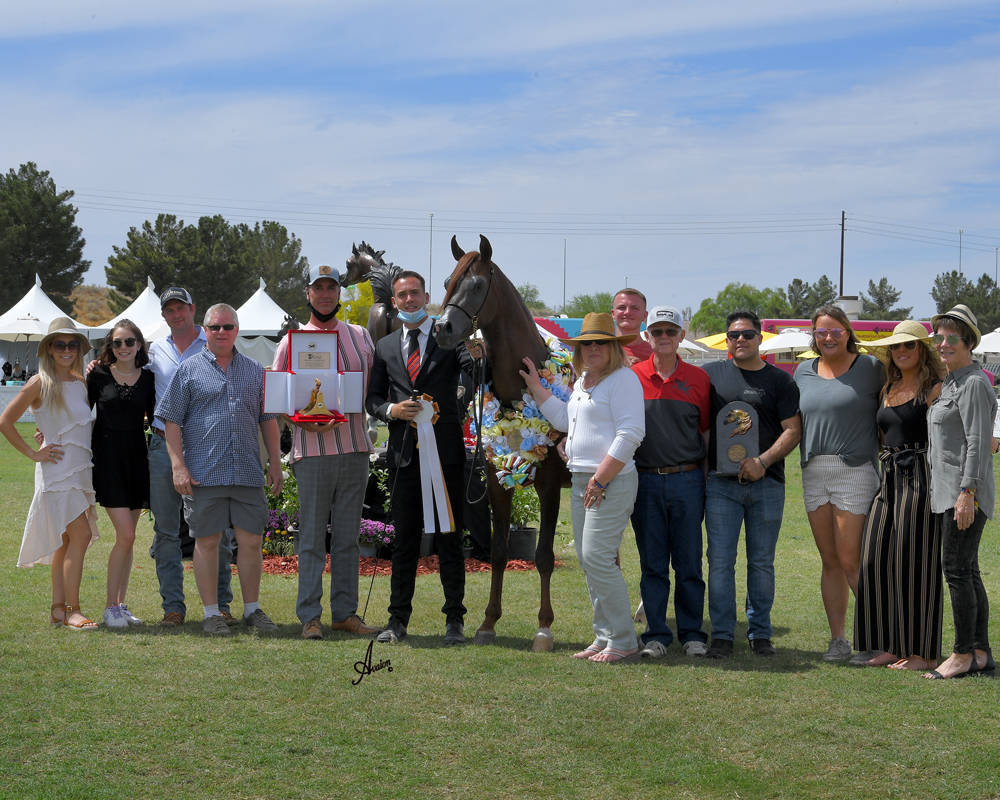 The 2021 Arabian Breeders World Cup - Scottsdale 