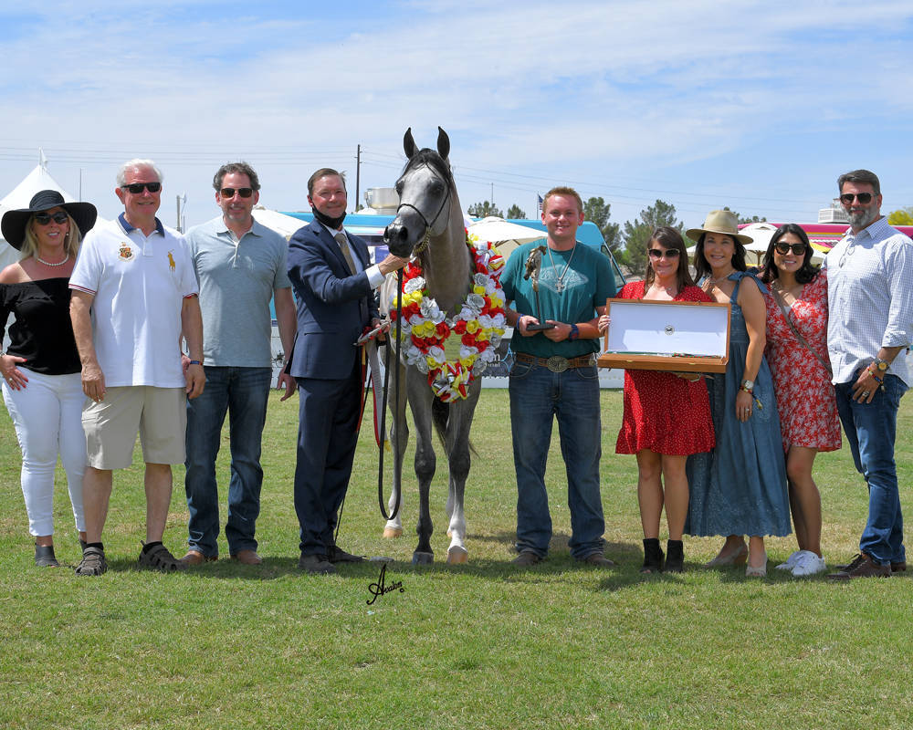 The 2021 Arabian Breeders World Cup - Scottsdale 