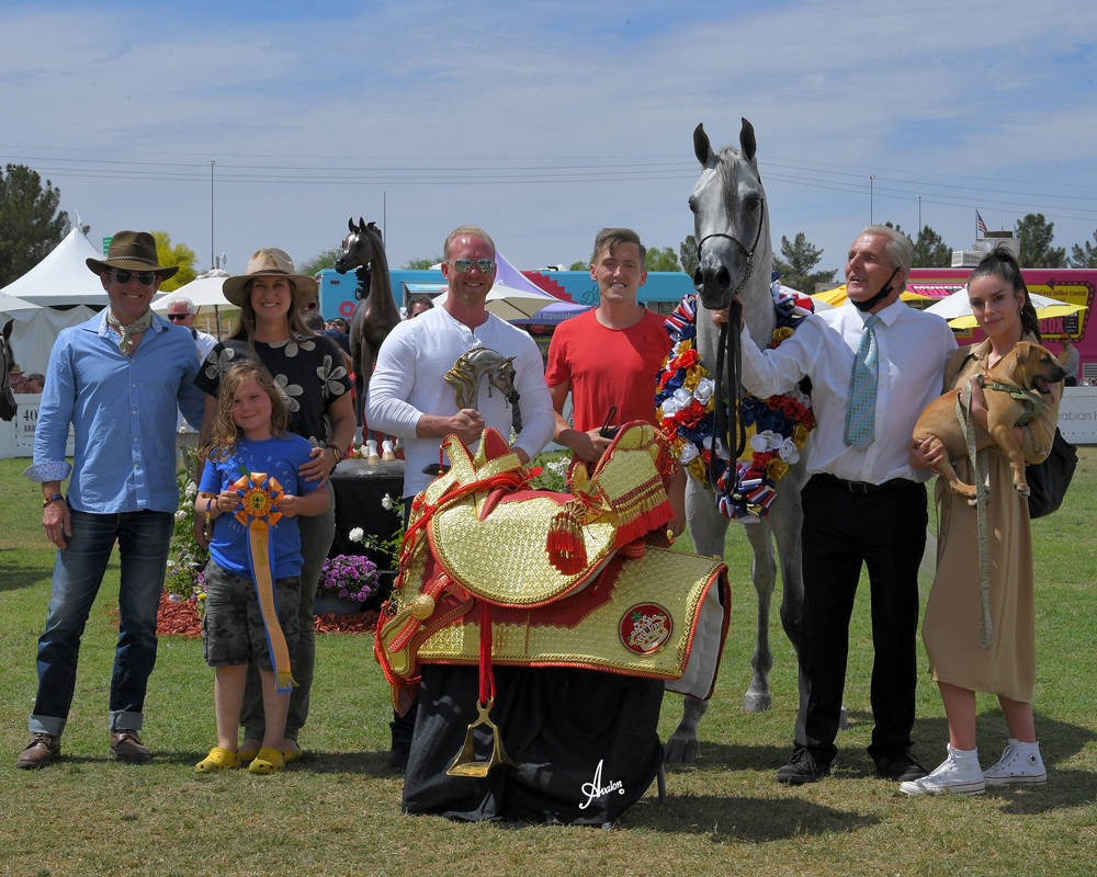 The 2021 Arabian Breeders World Cup - Scottsdale 