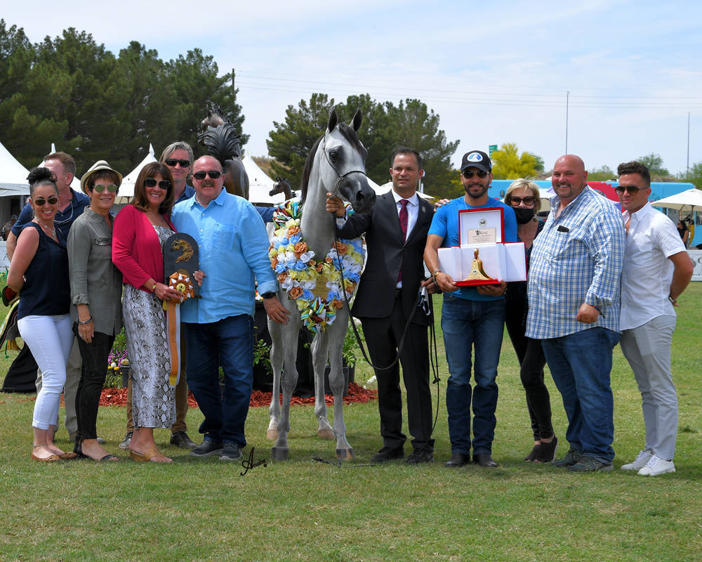 The 2021 Arabian Breeders World Cup - Scottsdale 