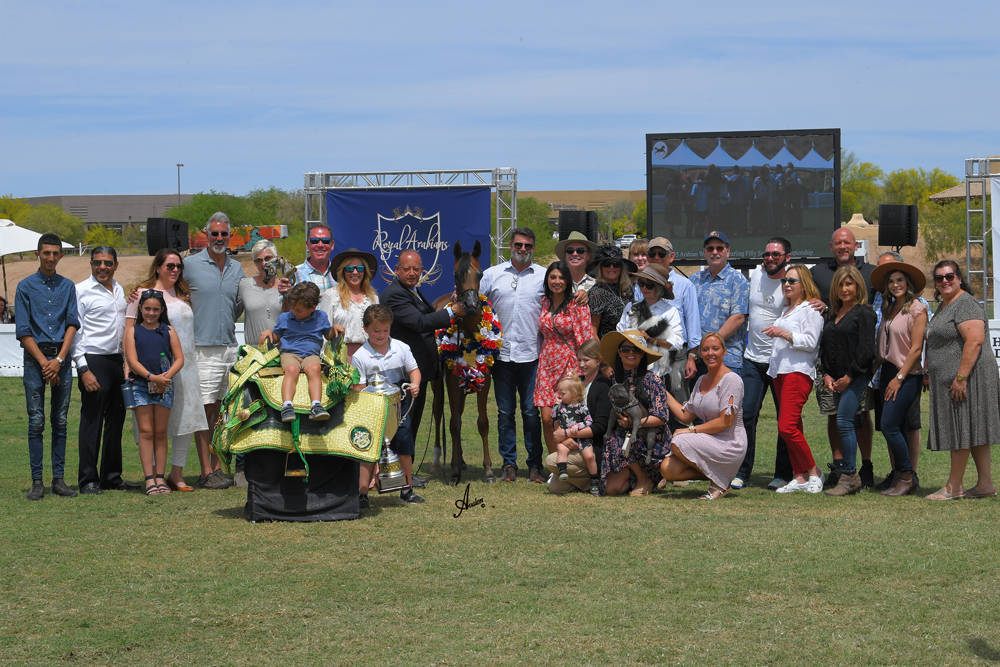 The 2021 Arabian Breeders World Cup - Scottsdale 