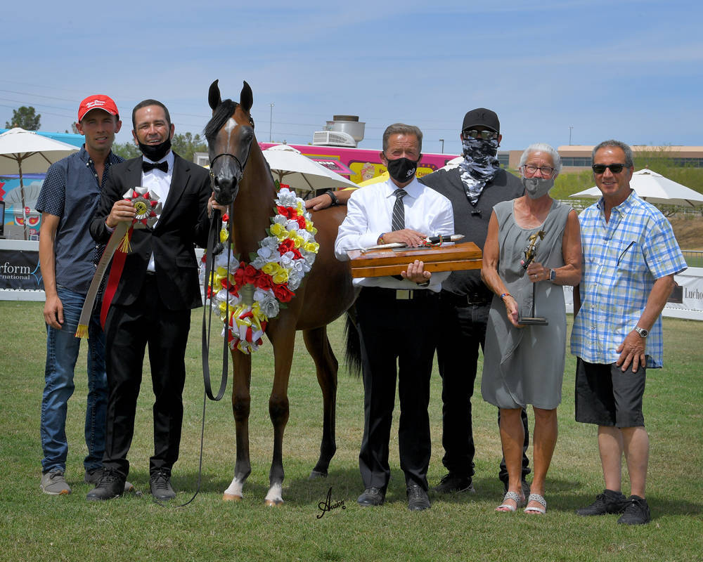 The 2021 Arabian Breeders World Cup - Scottsdale 