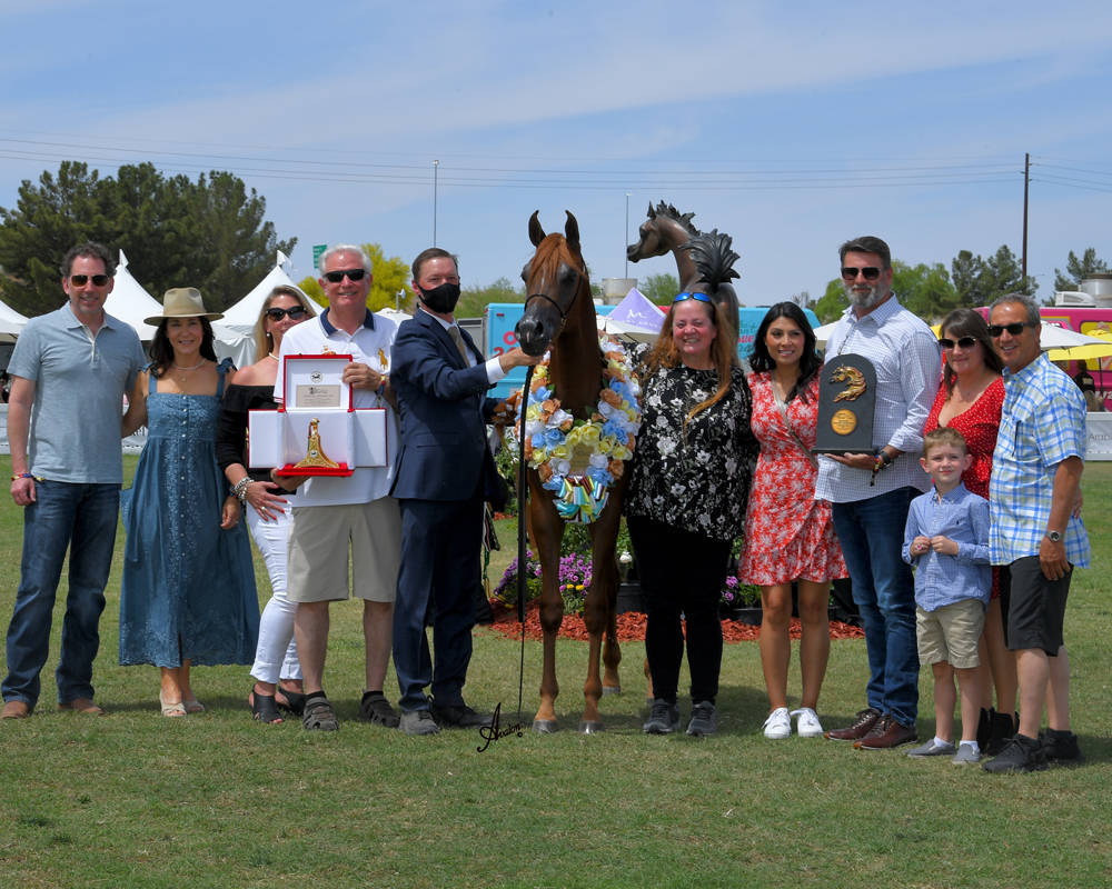 The 2021 Arabian Breeders World Cup - Scottsdale 