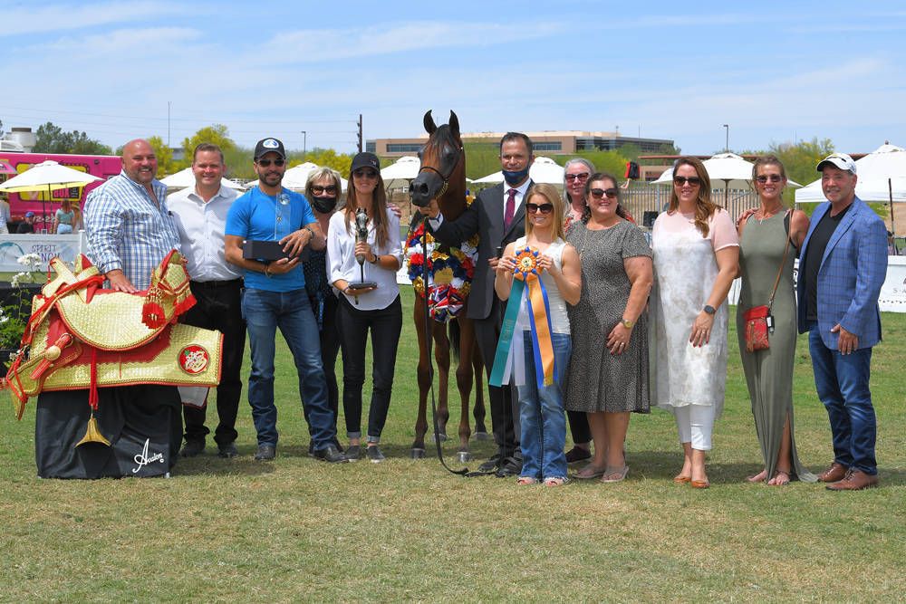 The 2021 Arabian Breeders World Cup - Scottsdale 