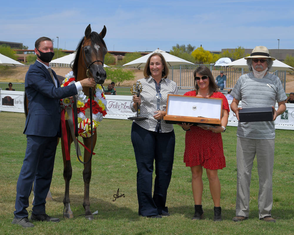 The 2021 Arabian Breeders World Cup - Scottsdale 