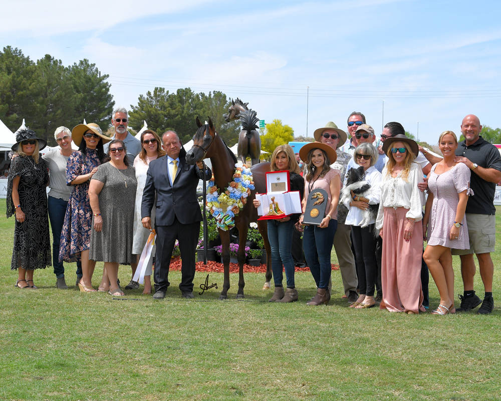 The 2021 Arabian Breeders World Cup - Scottsdale 