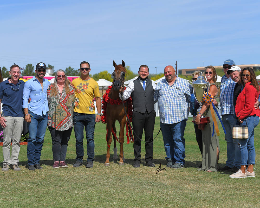 The 2021 Arabian Breeders World Cup - Scottsdale 