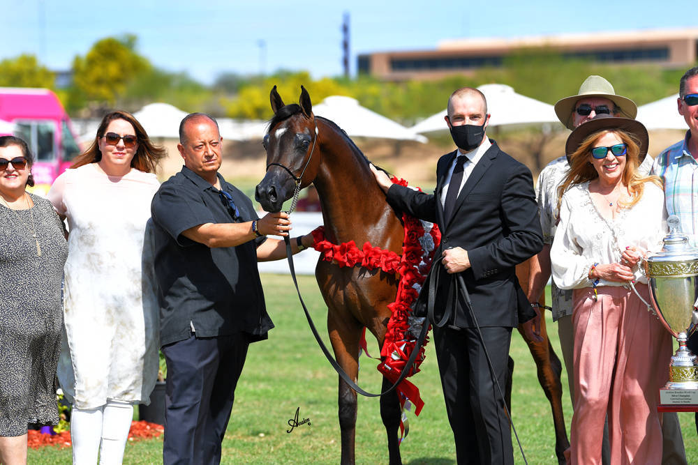 The 2021 Arabian Breeders World Cup - Scottsdale 