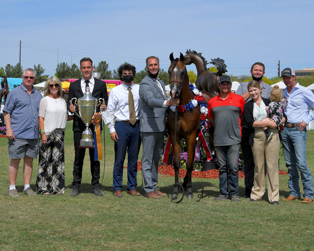 The 2021 Arabian Breeders World Cup - Scottsdale 