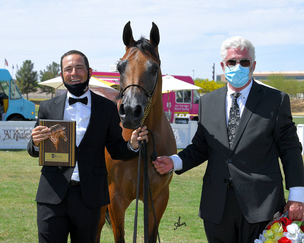The 2021 Arabian Breeders World Cup - Scottsdale 