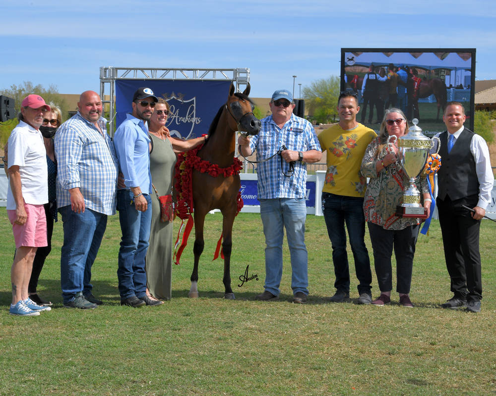 The 2021 Arabian Breeders World Cup - Scottsdale 