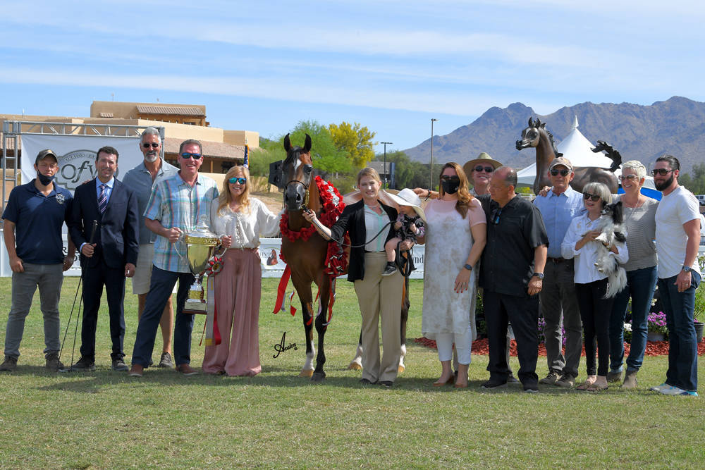 The 2021 Arabian Breeders World Cup - Scottsdale 