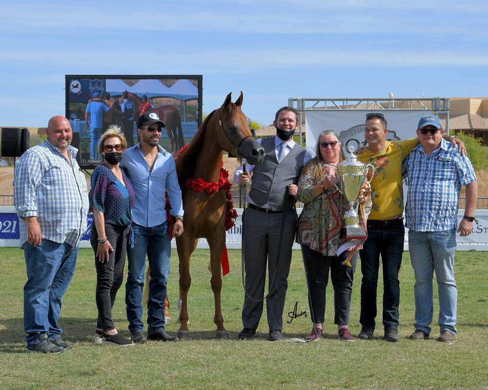 The 2021 Arabian Breeders World Cup - Scottsdale 