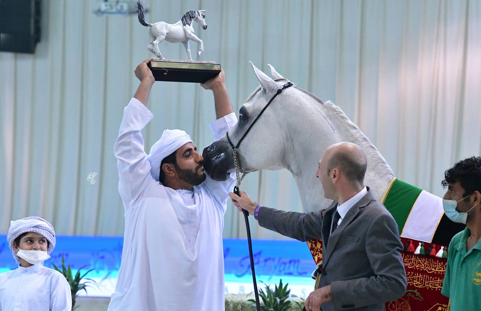 Senior Stallion Gold Champion: J Gergeshan (Fuerte X Shalwa Alkhail)