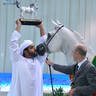 Senior Stallion Gold Champion: J Gergeshan (Fuerte X Shalwa Alkhail)