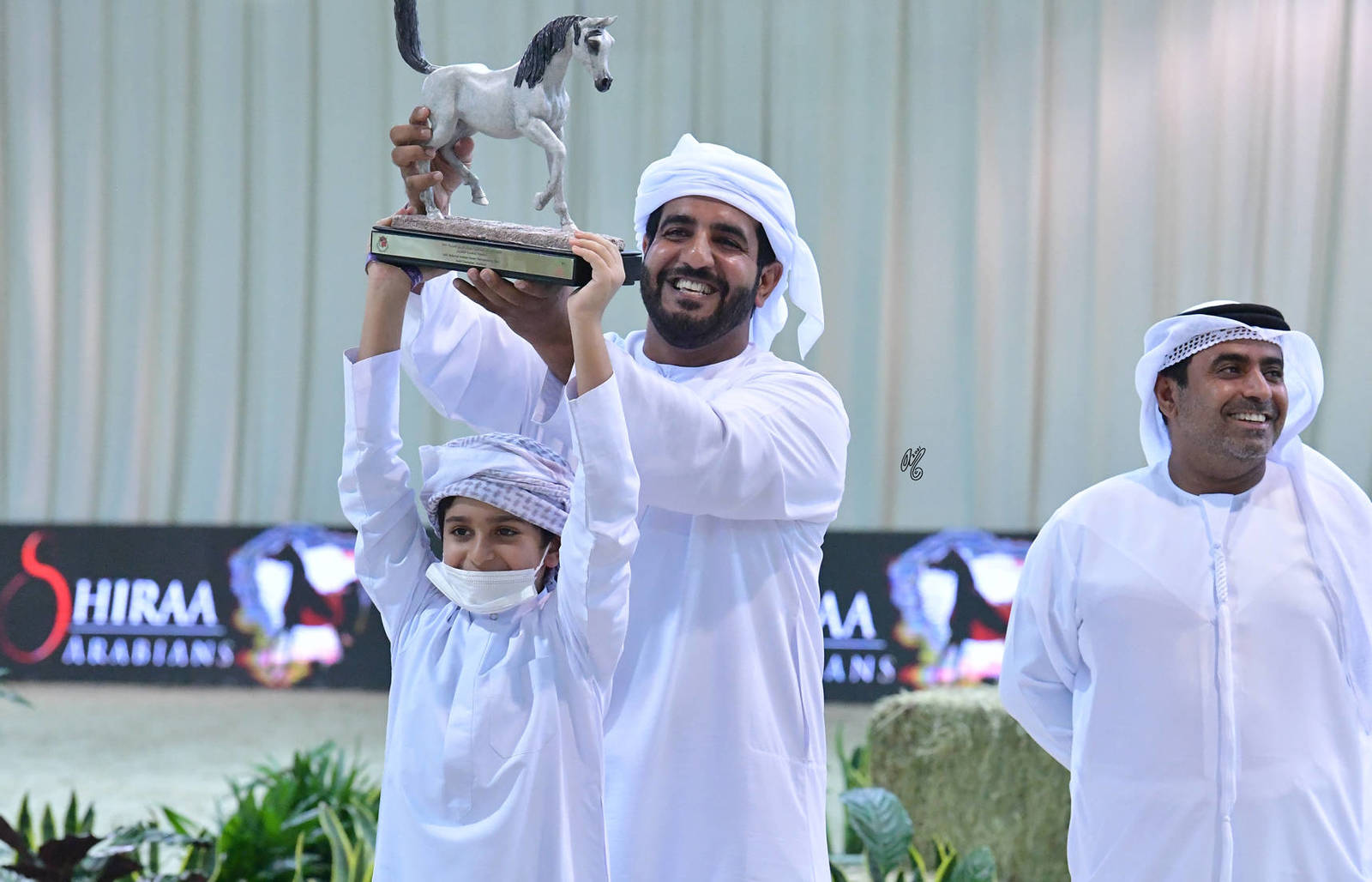 Senior Stallion Gold Champion: J Gergeshan (Fuerte X Shalwa Alkhail)