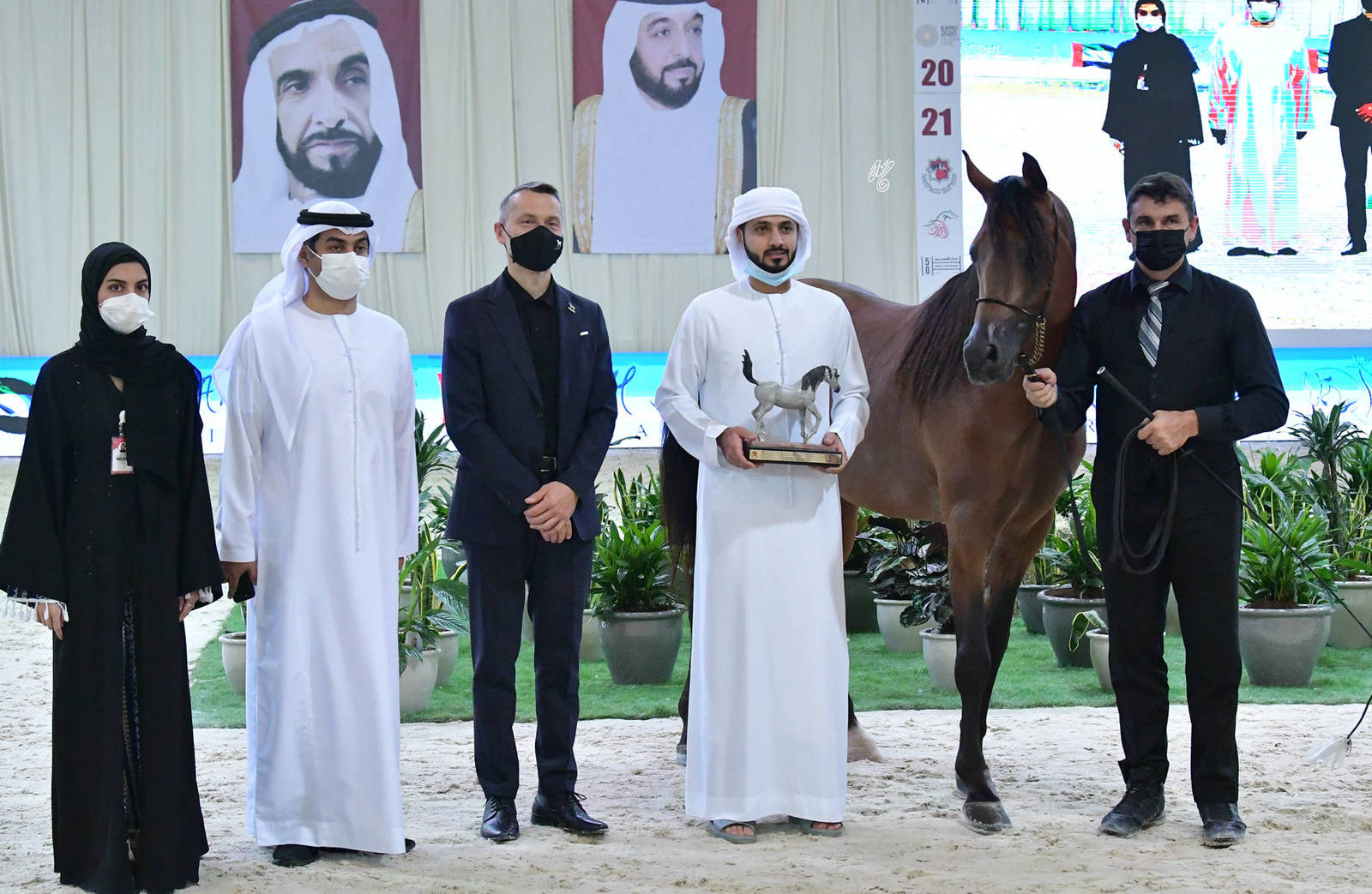 Senior Stallion Silver Champion: Muhab BHM (S.M.A. Magic One X Mademoiselle) 