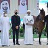 Senior Stallion Silver Champion: Muhab BHM (S.M.A. Magic One X Mademoiselle) 