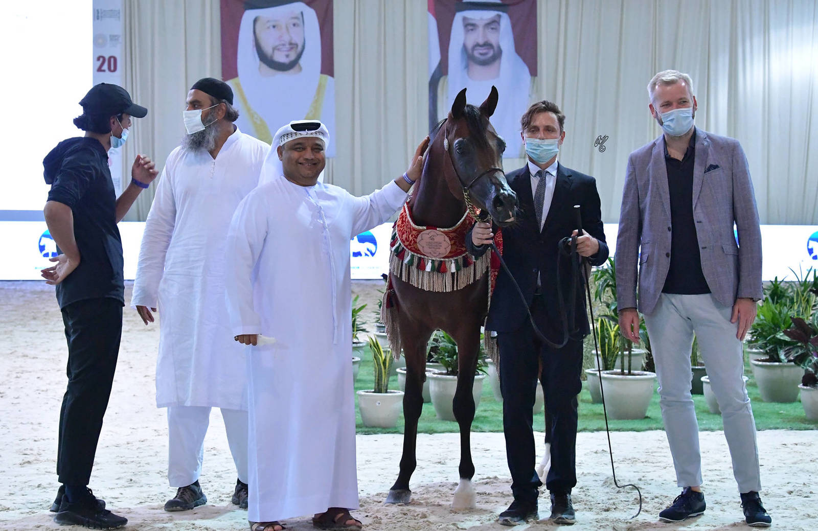 Senior Stallion Bronze Champion: D Jari (Polidoro FC X Juwanda OS)