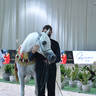 Senior Mare Gold Champion Basandrasettimocielo: (Ajman Moniscione X MA Scarlet) 