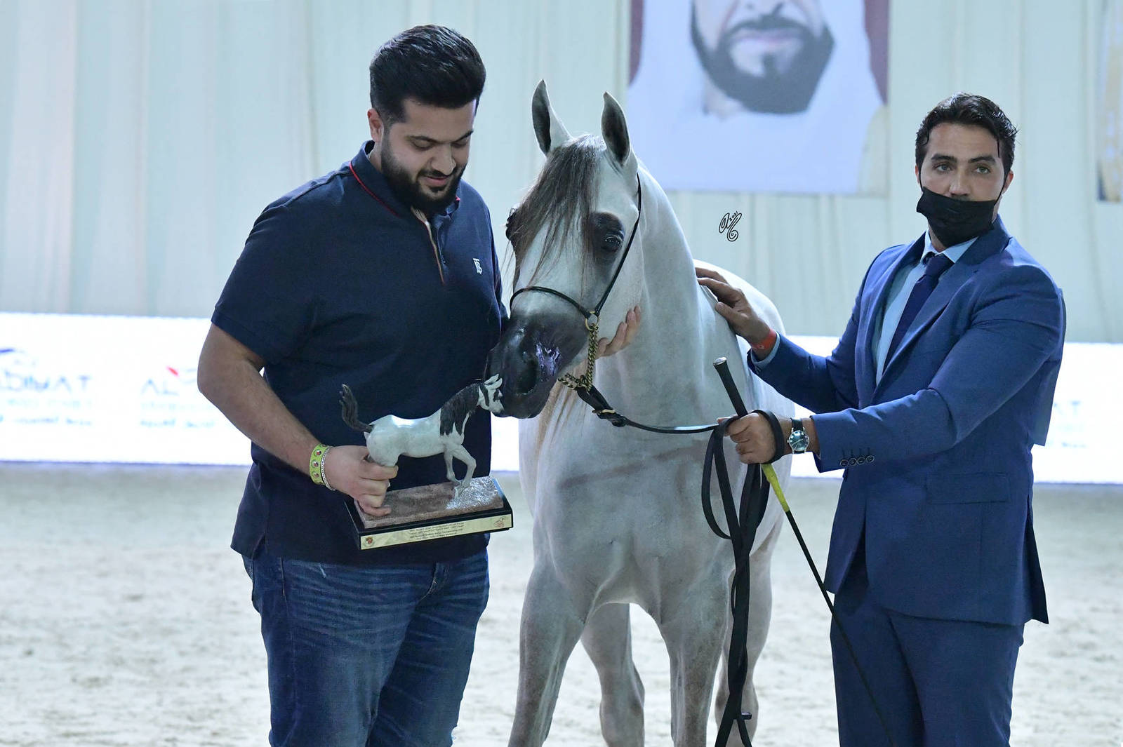 Junior Colt Gold Champion: D Haddar (D Seraj X D Rowaida) 