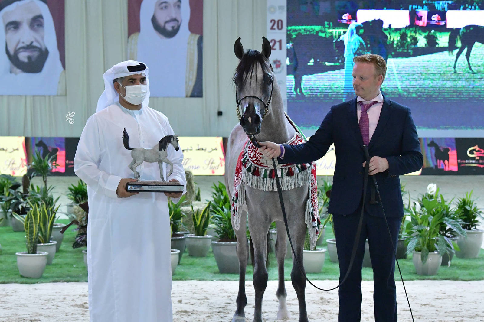 Junior Colt Silver Champion: Al Aryam Alyasat (Raoud Al Bidayer X Al Aryam Al Yaba)