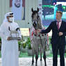 Junior Colt Silver Champion: Al Aryam Alyasat (Raoud Al Bidayer X Al Aryam Al Yaba)