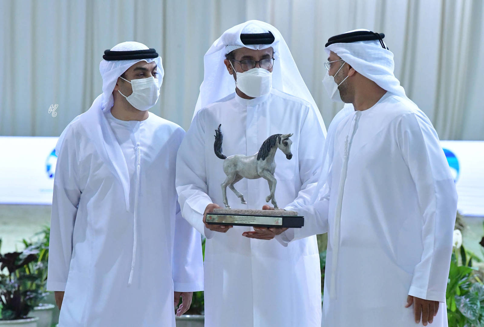 Junior Filly Gold Champion: AJ Kayya (AJ Kafu X AJA Caprice)