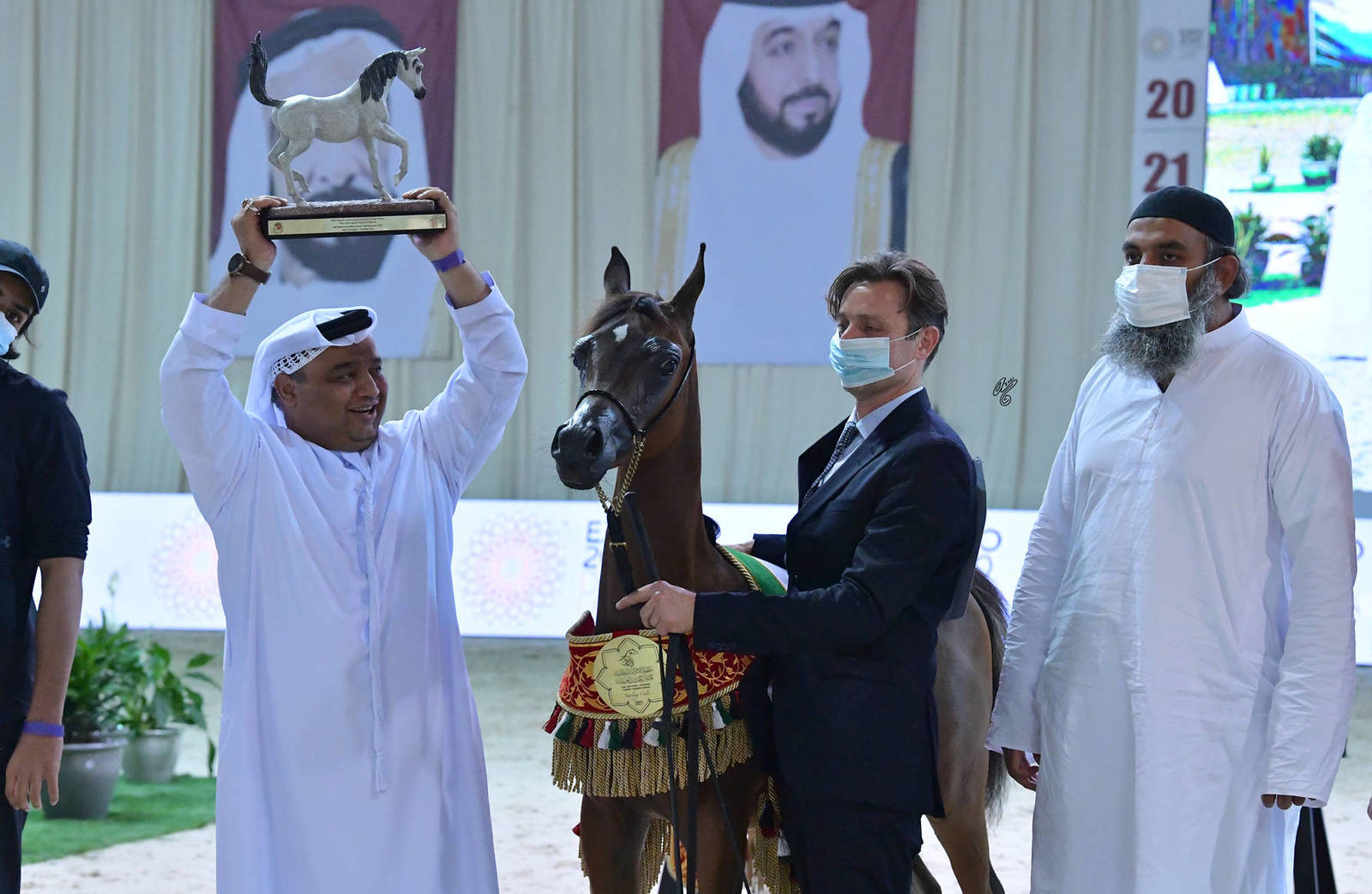 Yearling Colt Gold Champion: JS Troy (Dominic M X D Ghaneemah) 