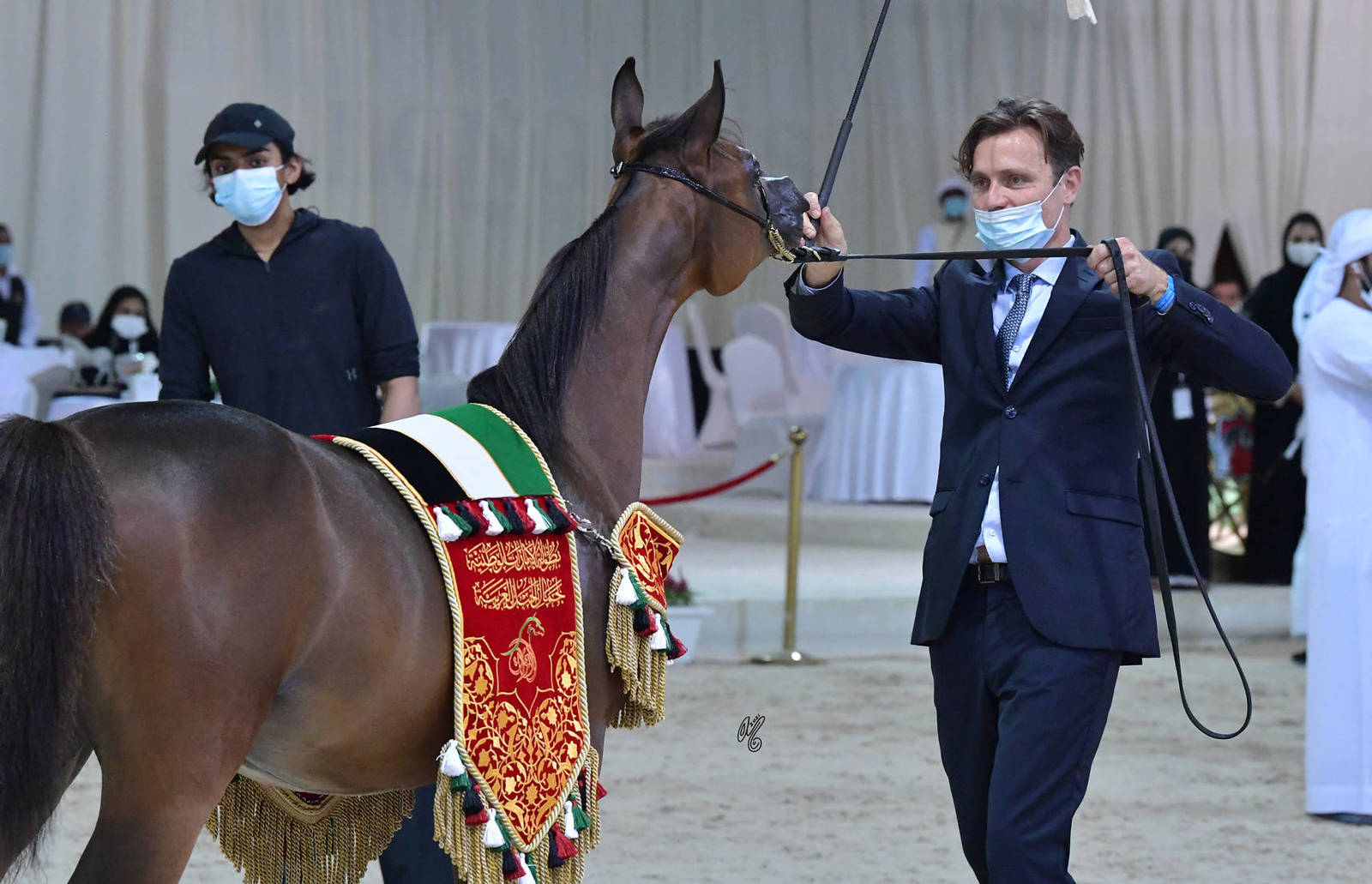 Yearling Colt Gold Champion: JS Troy (Dominic M X D Ghaneemah) 