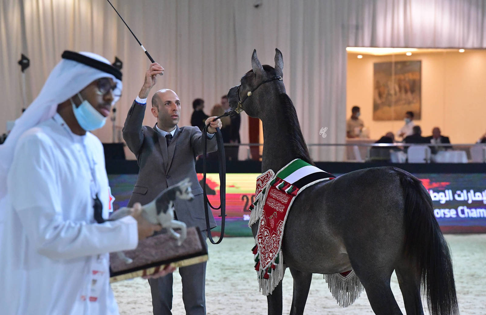Yearling Colt Silver Champion: FD Rafale (D Maysoor X D Arta)