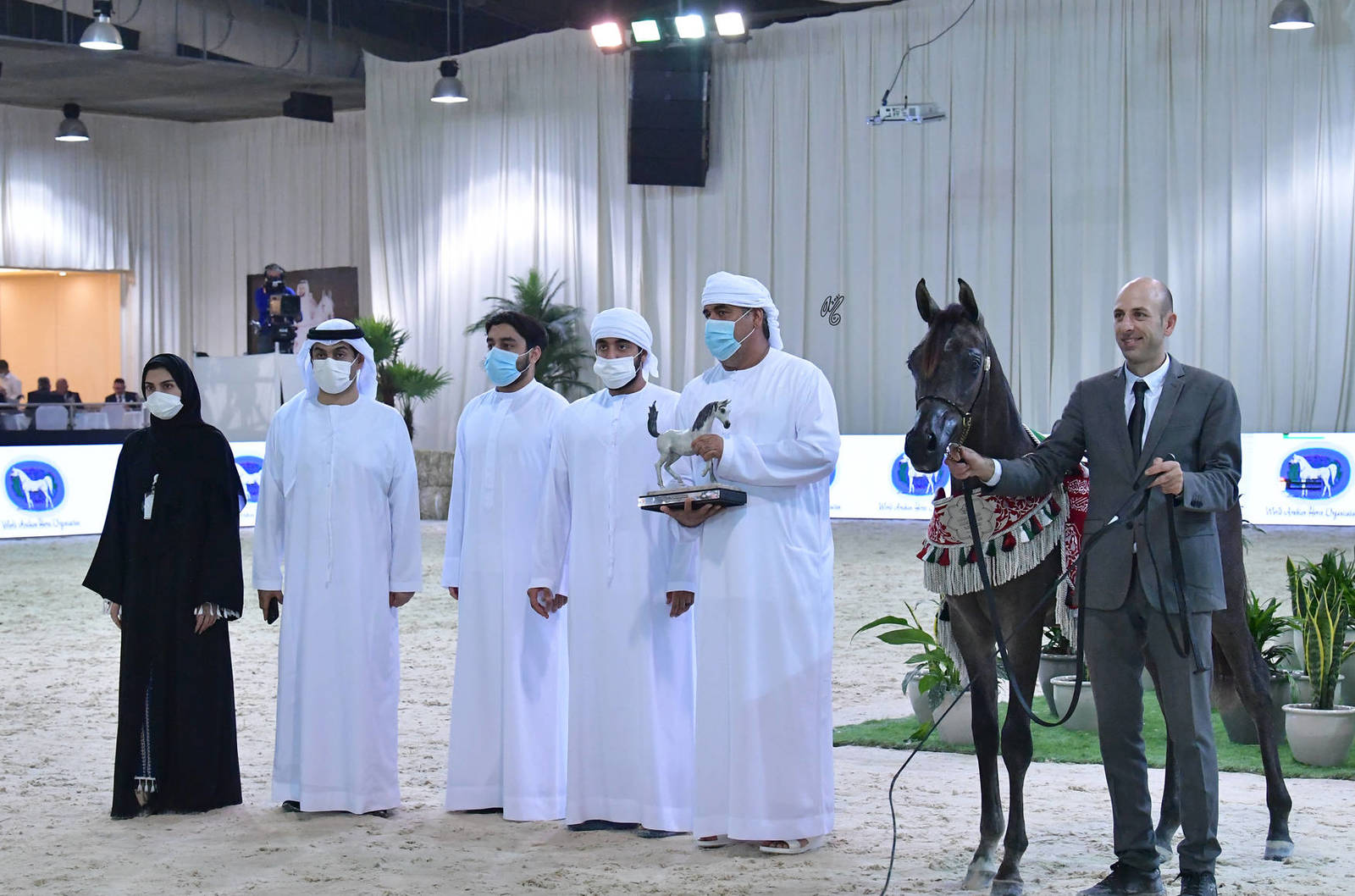 Yearling Colt Silver Champion: FD Rafale (D Maysoor X D Arta)