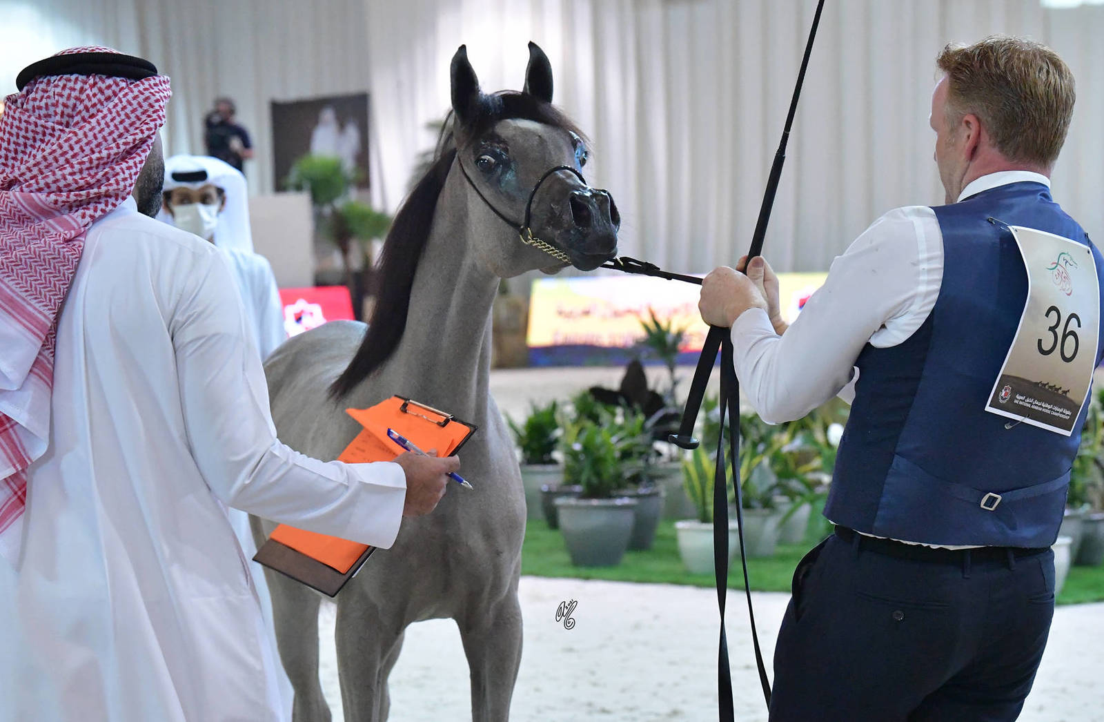 Yearling Filly Silver Champion: MZ Rafigah (A.Z Awan X QR Andrea)