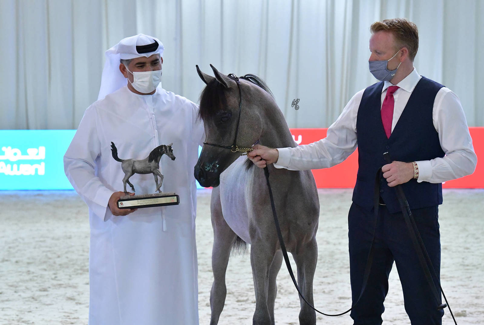 Yearling Filly Silver Champion: MZ Rafigah (A.Z Awan X QR Andrea)