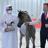 Yearling Filly Silver Champion: MZ Rafigah (A.Z Awan X QR Andrea)