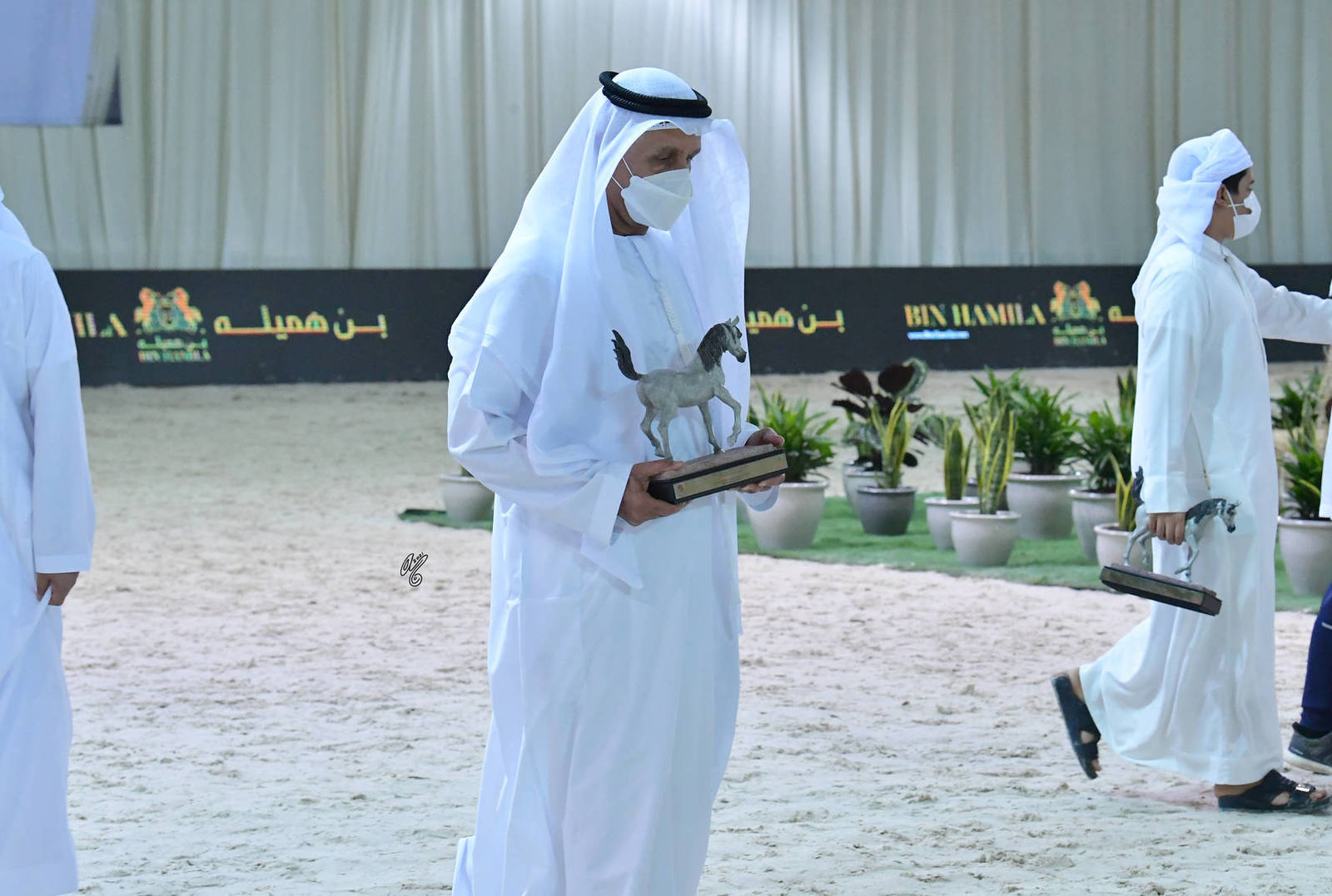 The 2021 UAE National Arabian Horse Championship ~ Abu Dhabi PHOTO GALLERY