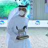 The 2021 UAE National Arabian Horse Championship ~ Abu Dhabi PHOTO GALLERY