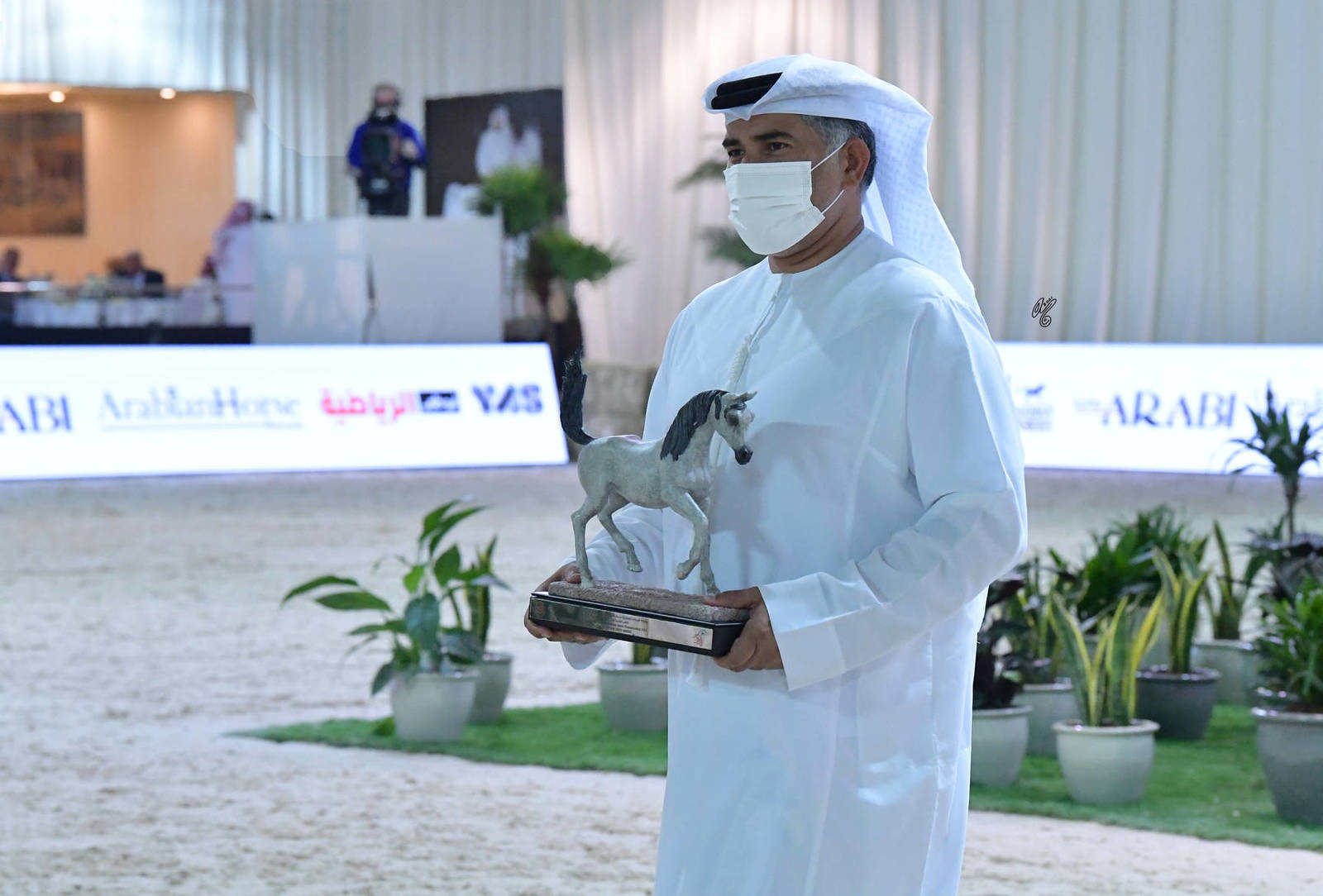The 2021 UAE National Arabian Horse Championship ~ Abu Dhabi PHOTO GALLERY