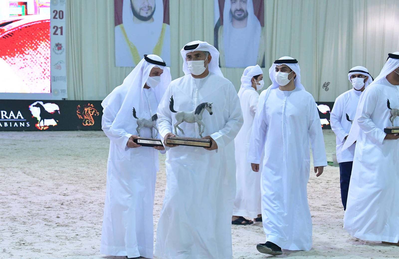 The 2021 UAE National Arabian Horse Championship ~ Abu Dhabi PHOTO GALLERY