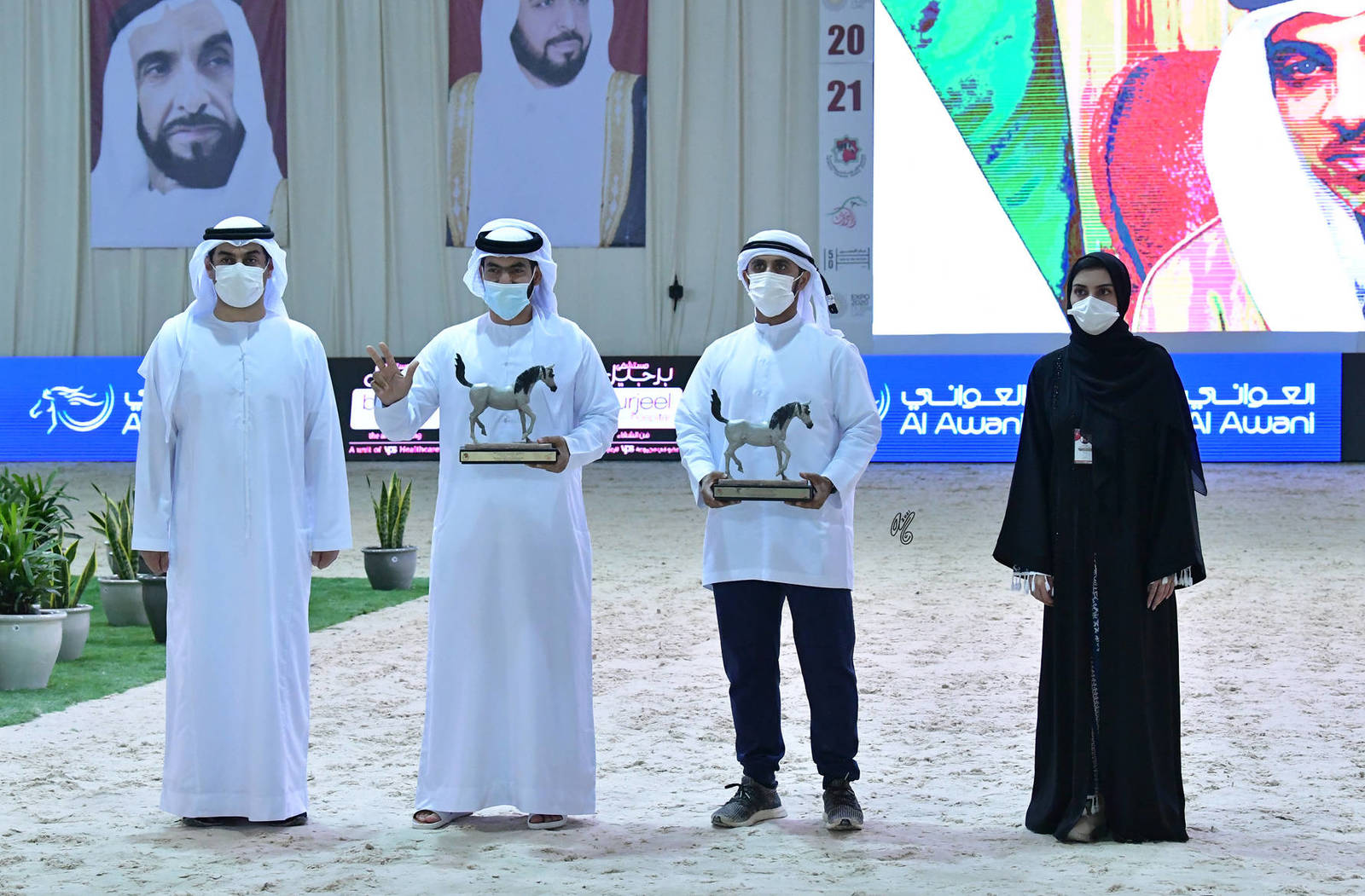The 2021 UAE National Arabian Horse Championship ~ Abu Dhabi PHOTO GALLERY