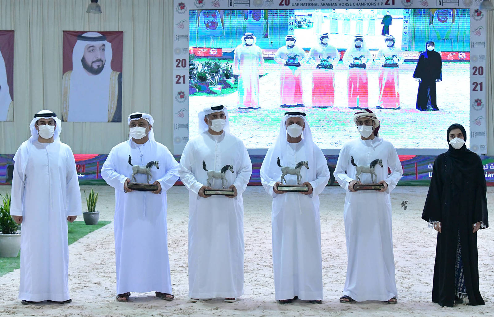 The 2021 UAE National Arabian Horse Championship ~ Abu Dhabi PHOTO GALLERY
