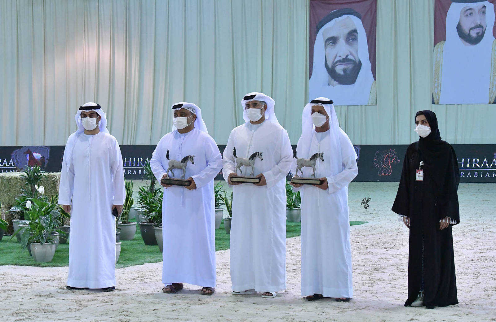 The 2021 UAE National Arabian Horse Championship ~ Abu Dhabi PHOTO GALLERY