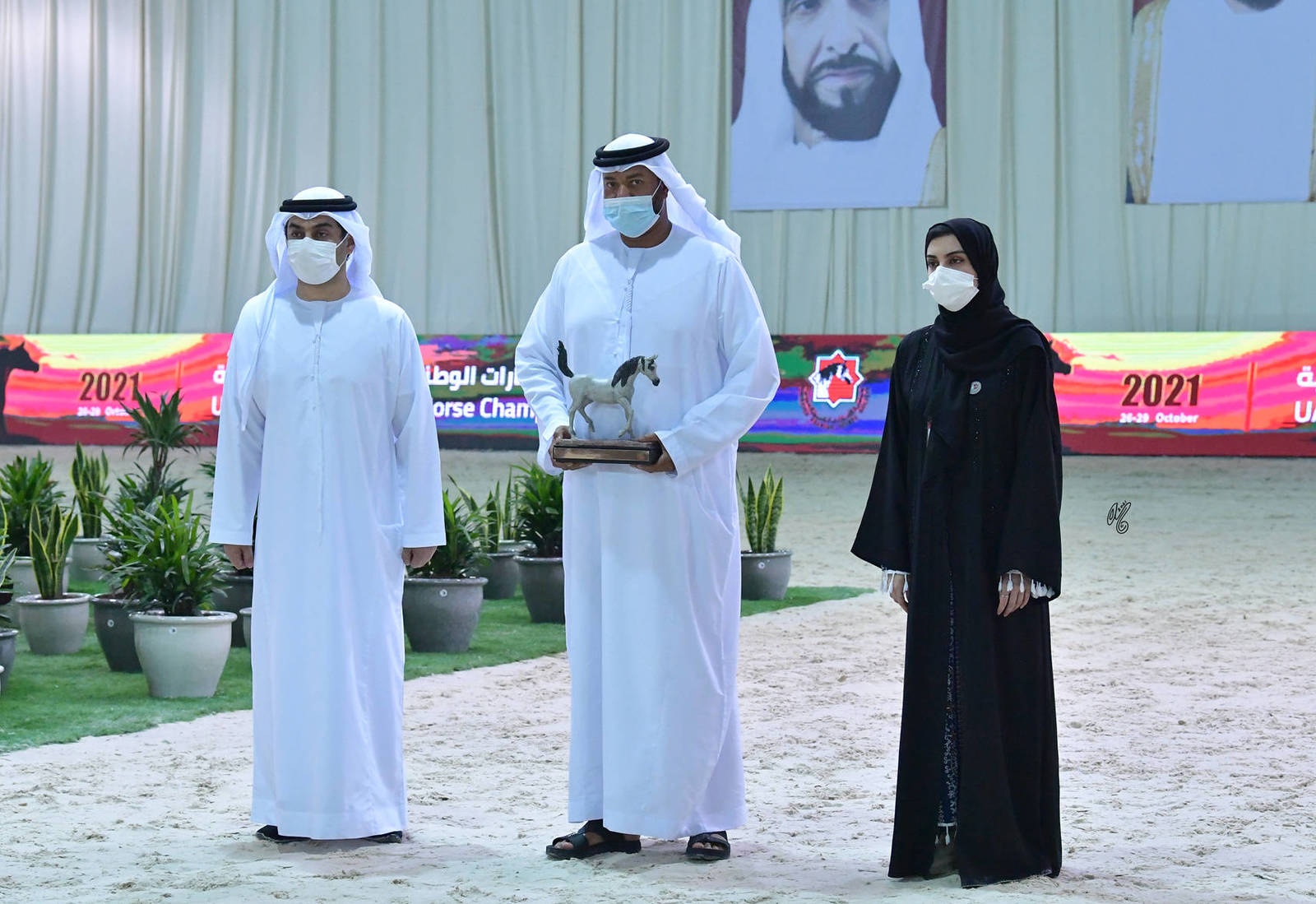 The 2021 UAE National Arabian Horse Championship ~ Abu Dhabi PHOTO GALLERY