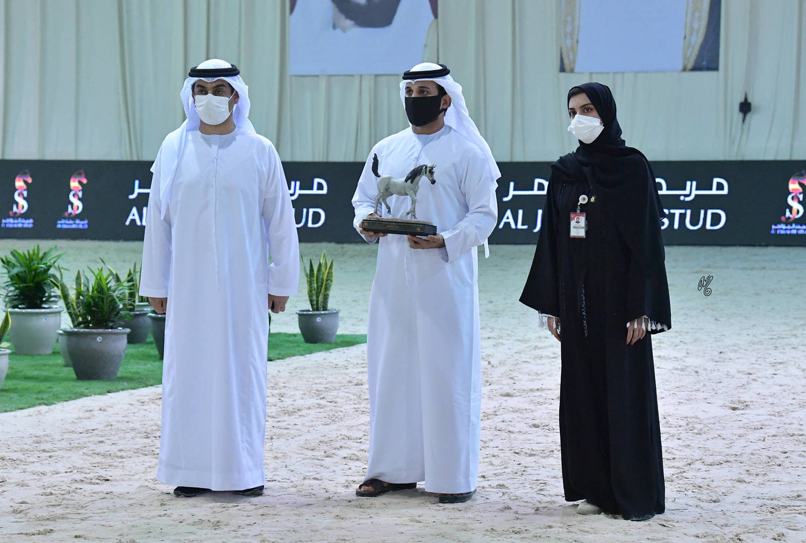 The 2021 UAE National Arabian Horse Championship ~ Abu Dhabi PHOTO GALLERY