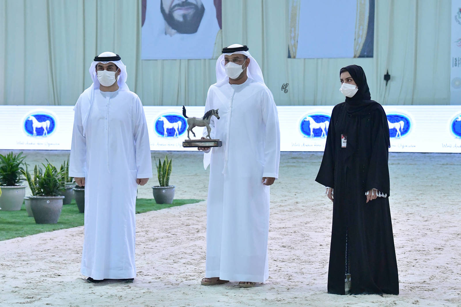 The 2021 UAE National Arabian Horse Championship ~ Abu Dhabi PHOTO GALLERY