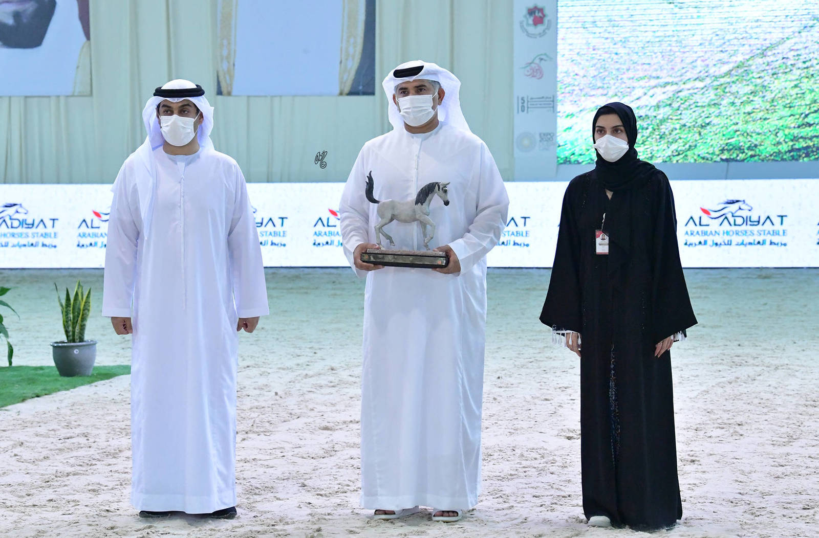 The 2021 UAE National Arabian Horse Championship ~ Abu Dhabi PHOTO GALLERY