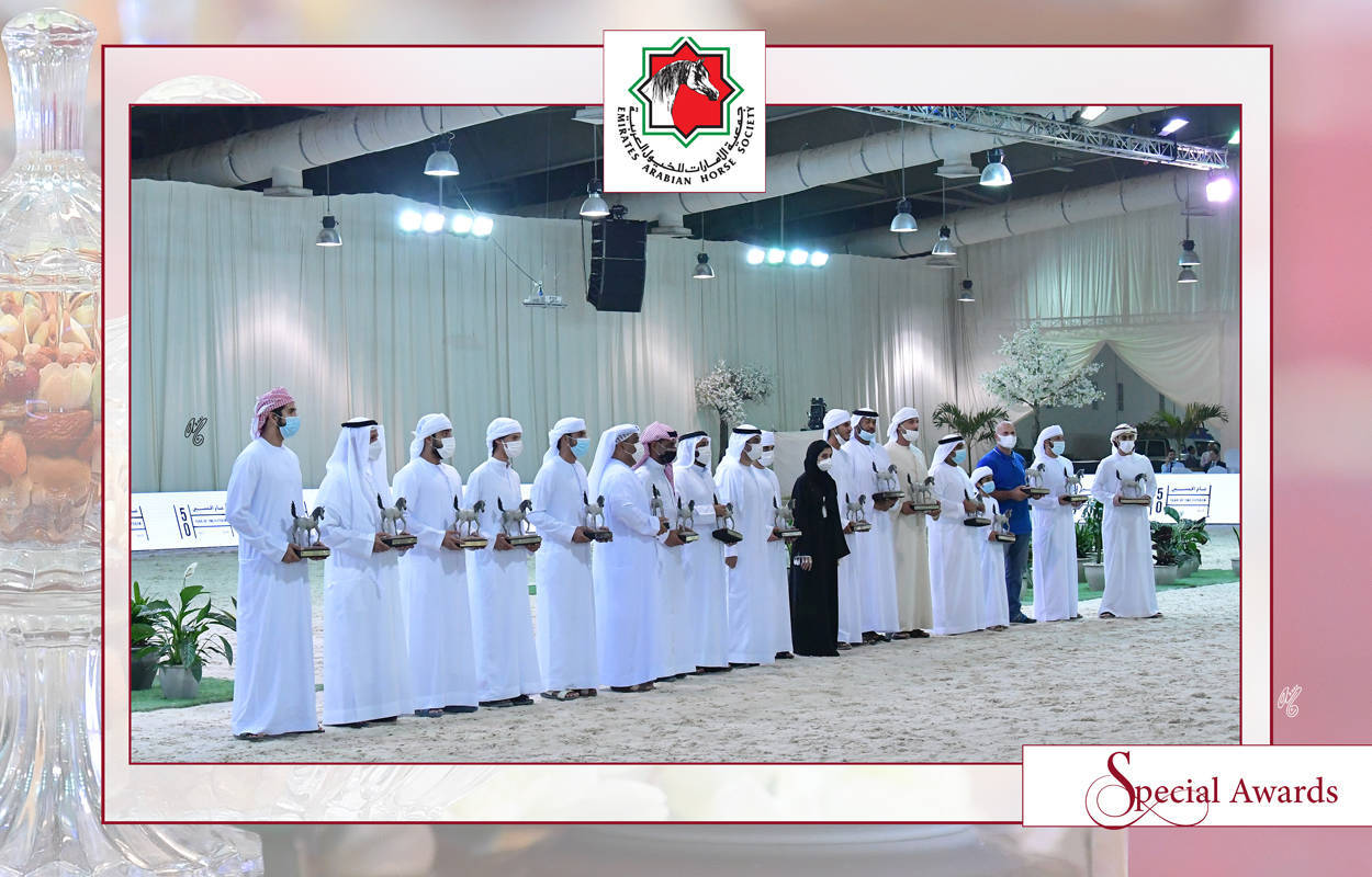 The 2021 UAE National Arabian Horse Championship ~ Abu Dhabi PHOTO GALLERY