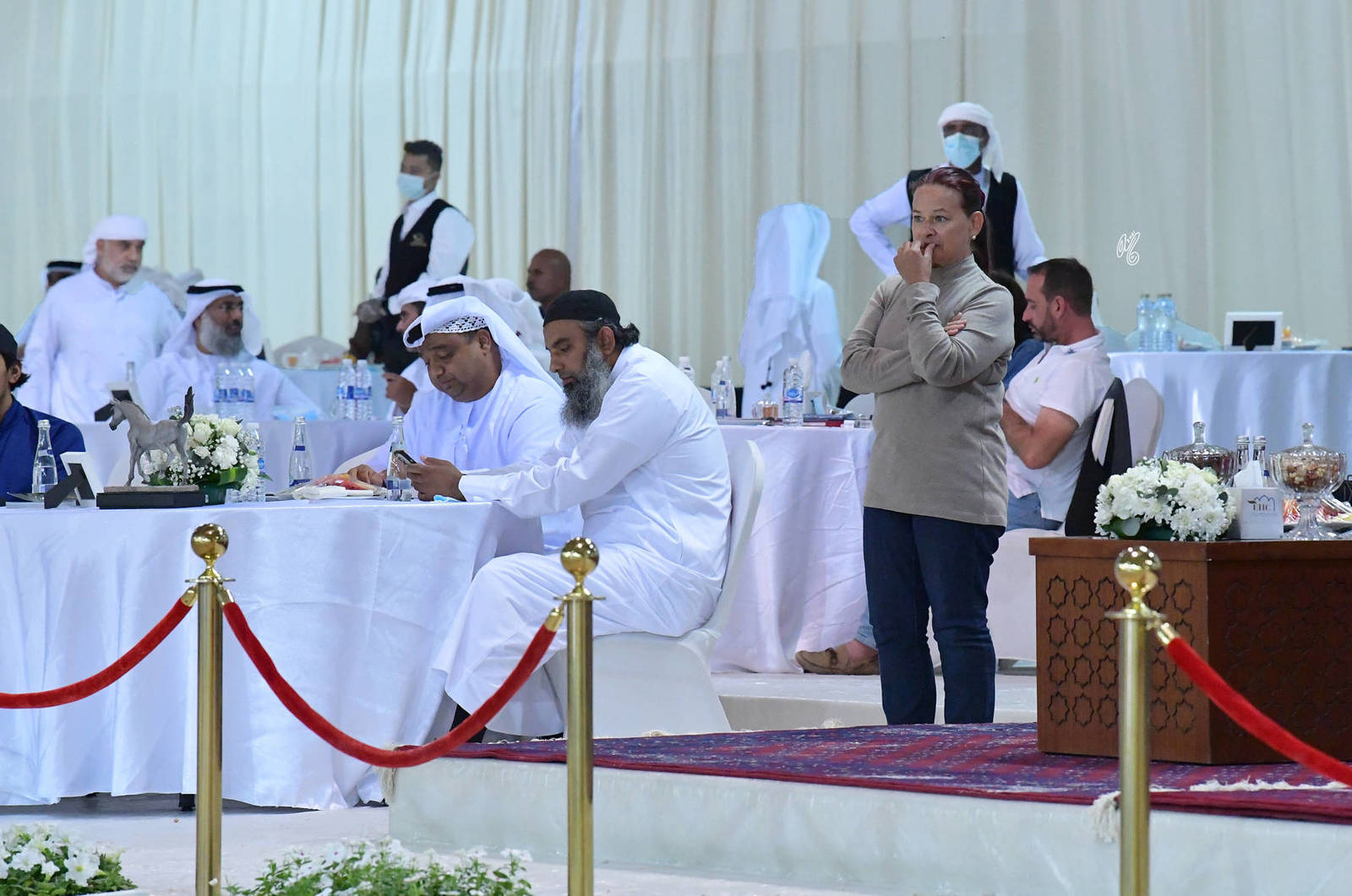 The 2021 UAE National Arabian Horse Championship ~ Abu Dhabi PHOTO GALLERY